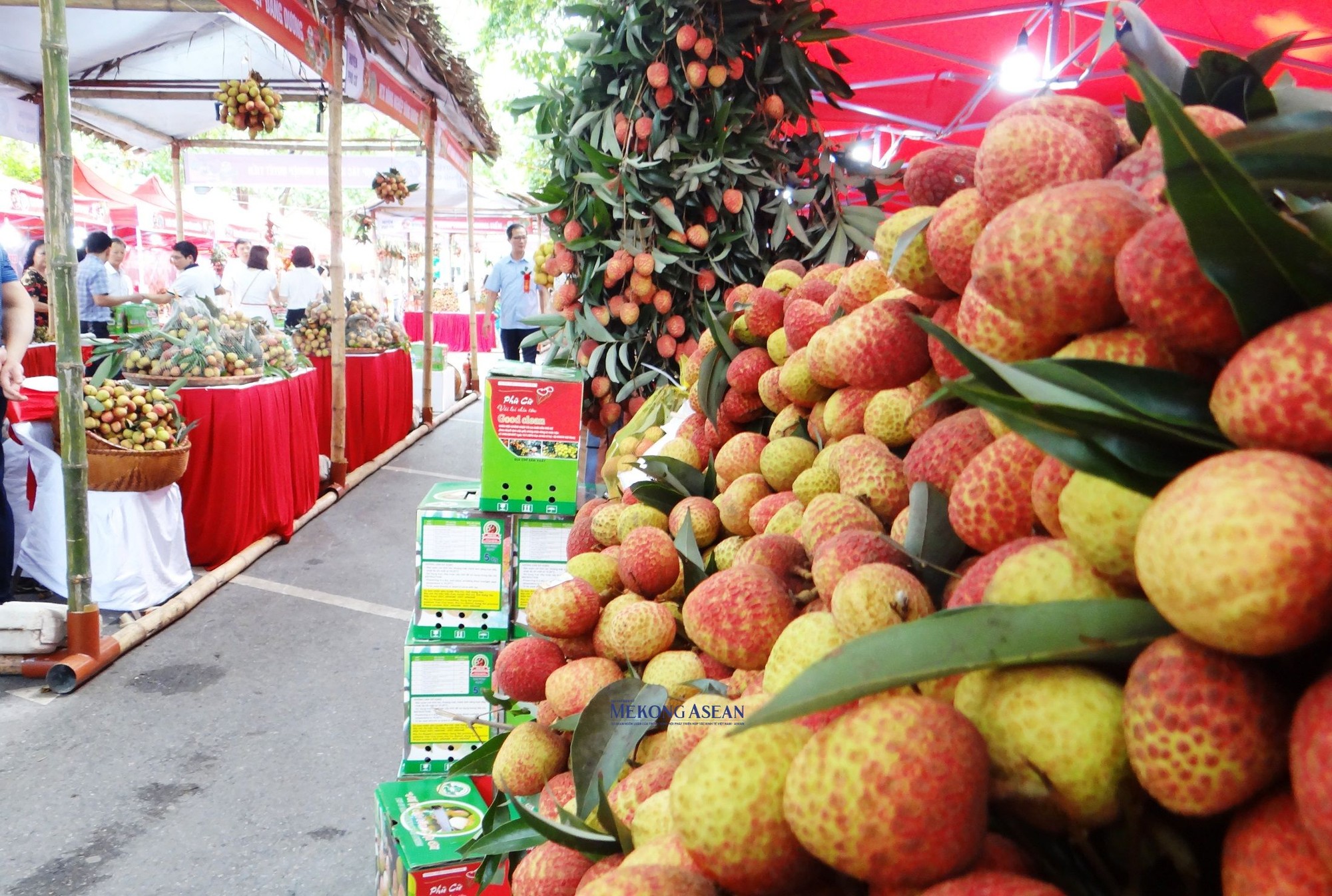 Hiện vải lai ch&iacute;n sớm Ph&ugrave; Cừ v&agrave; vải trứng Hưng Y&ecirc;n đ&atilde; được Cục Sở hữu tr&iacute; tuệ cấp chứng nhận nh&atilde;n hiệu h&agrave;ng ho&aacute;.