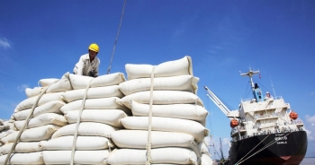 Châu Phi dự kiến nhập 17,7 triệu tấn gạo năm nay, Việt Nam là một trong 4 thị trường chính