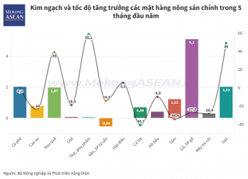 Gạo là mặt hàng có giá trị xuất khẩu tăng cao nhất 5 tháng qua