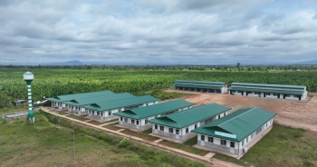 Thaco Agri hướng tới mô hình phát triển nông nghiệp bền vững