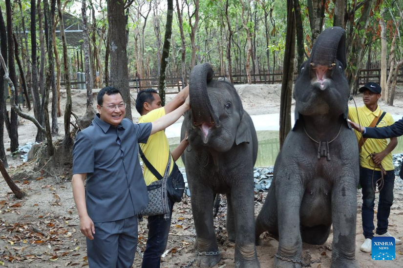 Bộ trưởng N&ocirc;ng L&acirc;m nghiệp v&agrave; Thủy sản Campuchia chụp ảnh c&ugrave;ng cặp voi do L&agrave;o tặng tại tỉnh Takeo, Campuchia, ng&agrave;y 12/5. Ảnh: Xinhua