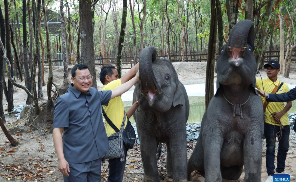 Thủ tướng Lào tặng cặp voi quý hiếm cho Quốc vương Campuchia