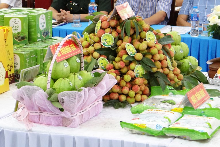 Vải thiều Thanh H&agrave; đ&atilde; xuất khẩu sang nhiều thị trường khắt khe như Mỹ, Trung Quốc, Australia, Singapore... Ảnh: Ph&ugrave;ng Nguyện