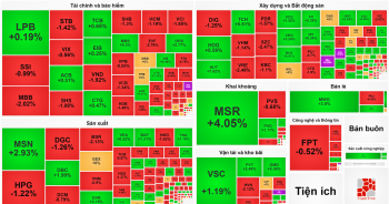 VN-Index thoát hiểm trong phiên giao dịch &apos;tỷ đô&apos;