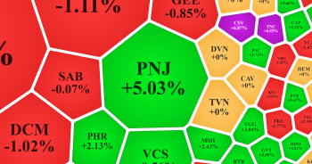 VN-Index giảm 11 điểm, PNJ chinh phục đỉnh mới, HPG chạm đáy 15 tháng