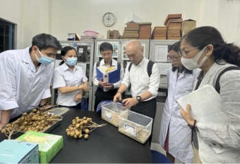 Hoàn thiện thủ tục cuối cùng xuất khẩu nhãn Việt Nam sang Nhật Bản