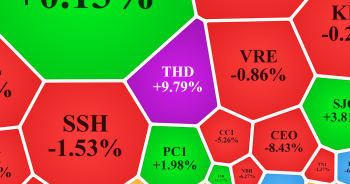 VN-Index giảm sâu trước tin FED tăng lãi suất, cổ phiếu Thaiholdings bất ngờ tím