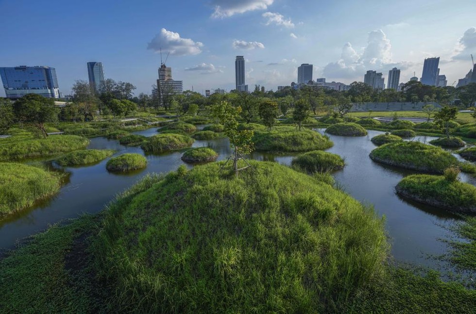 C&ocirc;ng vi&ecirc;n rừng Benjakitti được v&iacute; như &amp;amp;amp;quot;ốc đảo xanh&amp;amp;amp;quot; giữa thủ đ&ocirc; Bangkok, Th&aacute;i Lan. Ảnh: AP