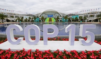 Trung Quốc từ bỏ vai trò chủ nhà hội nghị về đa dạng sinh học COP15