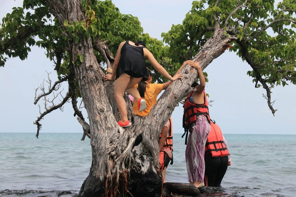 C&acirc;y c&ocirc; đơn tại đảo Koh Khai Hua Roh của Th&aacute;i Lan bị hư hại do bị du kh&aacute;ch tr&egrave;o l&ecirc;n v&agrave; vịn c&agrave;nh để chụp ảnh. Ảnh: Tourism Authority of Thailand.