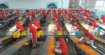 Xuất khẩu nông sản Việt Nam đặt mục tiêu kỷ lục 55 tỷ USD năm 2022