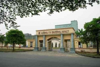 Công ty sản xuất malt bia của đại gia 'Đường bia' thua lỗ 2 năm liên tiếp