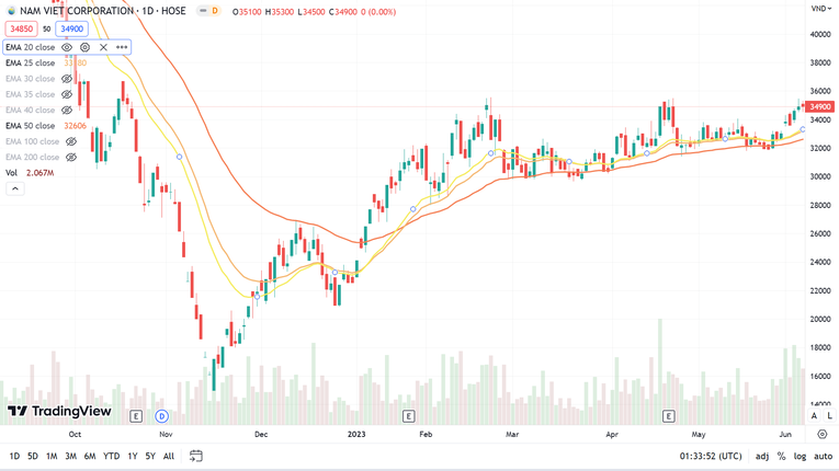 So với v&ugrave;ng gi&aacute; đ&aacute;y, thị gi&aacute; của ANV đ&atilde; phục hồi 117% v&agrave; vẫn duy tr&igrave; đ&agrave; tăng trưởng. Ảnh: TraidngView