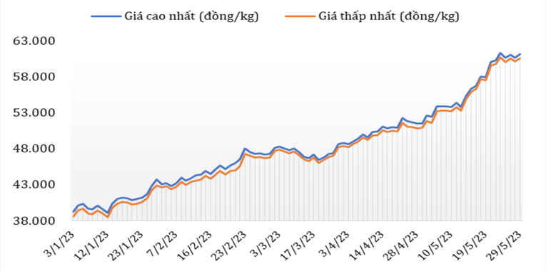 Diễn biến gi&aacute; c&agrave; ph&ecirc; Robusta tại thị trường nội địa từ đầu năm 2023 đến nay. Ảnh: Cục Xuất nhập khẩu