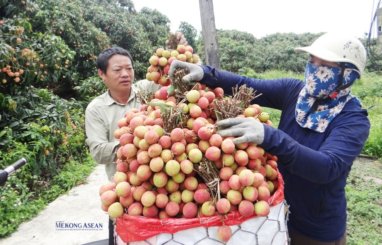 Chính phủ yêu cầu bảo đảm ổn định nguồn điện phục vụ sản xuất, sinh hoạt