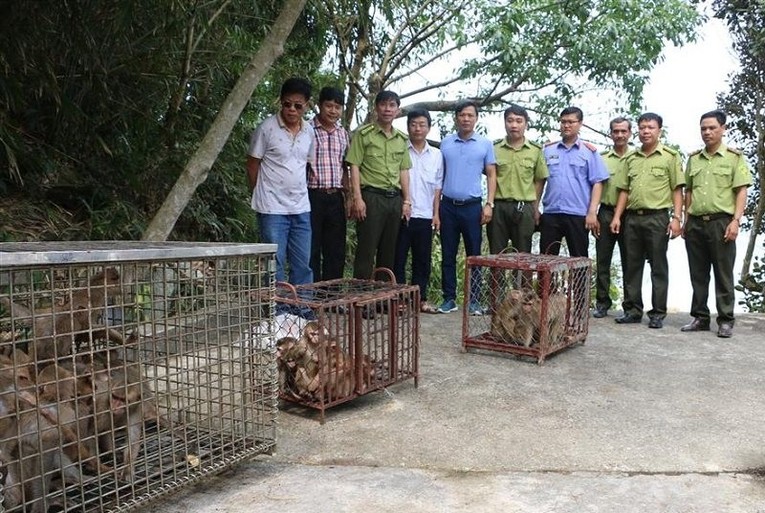 Ngăn chặn bu&ocirc;n b&aacute;n động vật hoang d&atilde;. Ảnh: VGP.