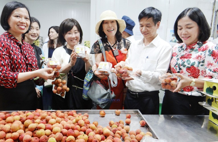 Đo&agrave;n doanh nghiệp Nhật Bản v&agrave; c&aacute;c đại biểu đến thăm cơ sở chế biến vải của CTCP Ameii Việt Nam tại x&atilde; Thanh X&aacute;, huyện Thanh H&agrave;.