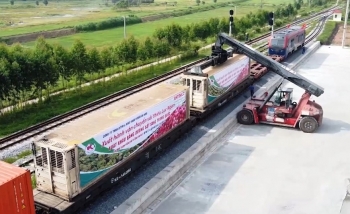 Bắc Giang xuất khẩu 56 tấn vải thiều Lục Ngạn từ ga Kép