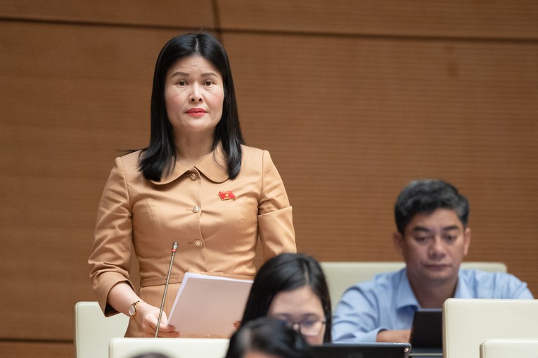 Đại biểu B&ugrave;i Thị Quỳnh Thơ - Đo&agrave;n ĐBQH tỉnh H&agrave; Tĩnh