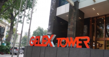 Dragon Capital quay trở lại làm cổ đông lớn của Gelex