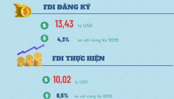 Bức tranh FDI 6 tháng đầu năm 2023