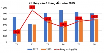 Xuất khẩu tôm tháng 6 đạt trị giá cao nhất trong nửa đầu năm 2023