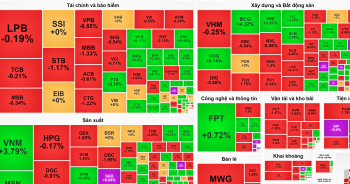 Thị trường ‘xanh vỏ đỏ lòng’, VN-Index tiếp tục leo dốc bất thành