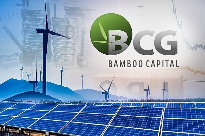 Bamboo Capital góp vốn thành lập công ty trồng rừng