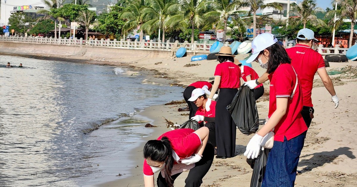 Gần 1.000 cán bộ nhân viên SeABank ra quân làm sạch bờ biển tại 11 tỉnh thành