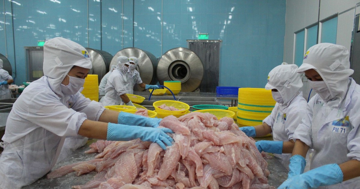 5 thị trường xuất khẩu mực, bạch tuộc lớn nhất của Việt Nam