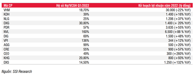 Hệ số nợ tr&ecirc;n vốn chủ sở hữu v&agrave; kế hoạch lợi nhuận năm 2021 của c&aacute;c doanh nghiệp bất động sản lớn tr&ecirc;n s&agrave;n.