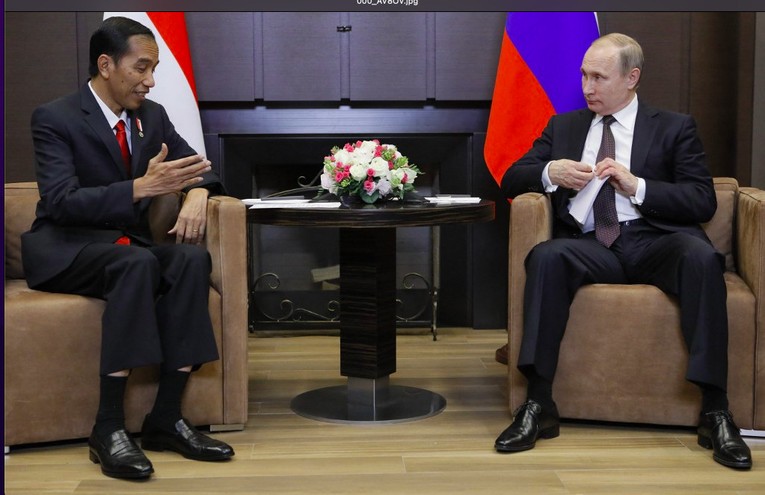 Nh&agrave; l&atilde;nh đạo Indonesia muốn khuyến kh&iacute;ch Tổng thống Nga sớm đối thoại h&ograve;a b&igrave;nh v&agrave; chấm dứt cuộc xung đột. Ảnh: AFP