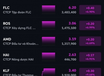 VN-Index gặp khó ở ngưỡng 1.200 điểm, cổ phiếu ‘họ FLC’ lại đồng loạt tím