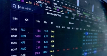 HoSE đưa cổ phiếu FLC, HAI và ROS vào diện cảnh báo từ ngày 11/7