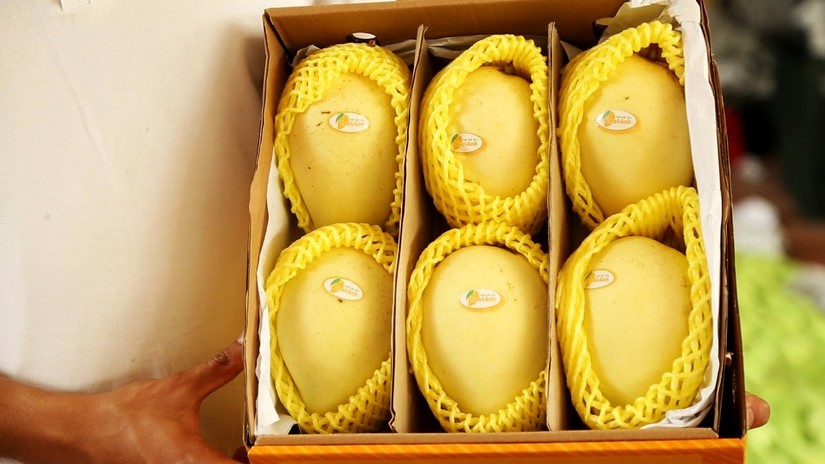 Đồng Th&aacute;p th&uacute;c đẩy quảng b&aacute; đặc sản xo&agrave;i Cao L&atilde;nh qua lễ hội