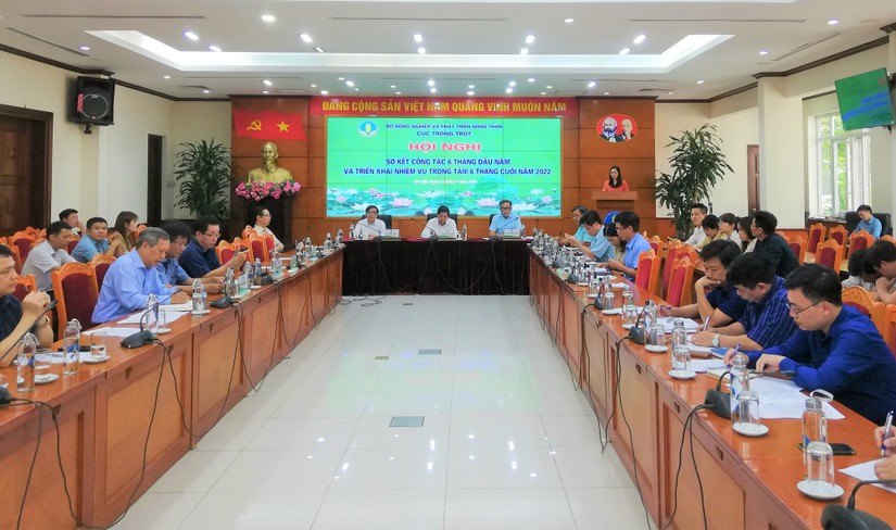 N&acirc;ng cao chất lượng để tăng t&iacute;nh cạnh tranh cho ng&agrave;nh trồng trọt