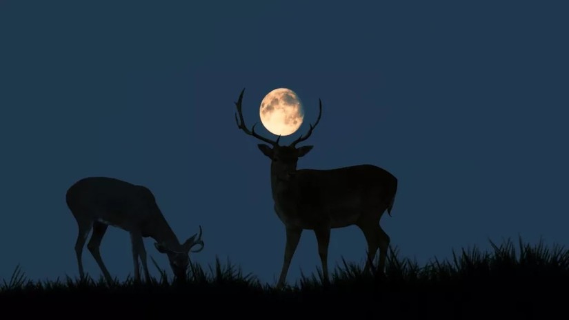 Si&ecirc;u trăng v&agrave;o th&aacute;ng 7 c&ograve;n được gọi l&agrave; Buck Moon hay Thunder Moon (trăng sấm). Ảnh: Getty Images