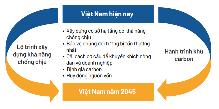 Tính đến 2040, Việt Nam ước tính phải chi 368 tỷ USD để thích nghi với biến đổi khí hậu