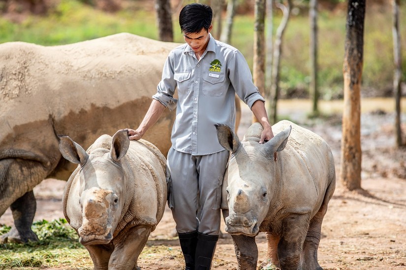 Nh&acirc;n vi&ecirc;n của Vinpearl Safari đang chăm s&oacute;c động vật tại vườn th&uacute;