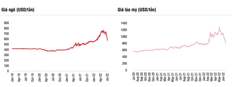 Gi&aacute; ng&ocirc; v&agrave; gi&aacute; l&uacute;a mỳ tăng mạnh trong qu&yacute; 1/2022. SSI