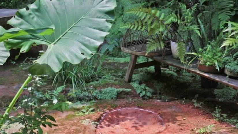 Dấu ch&acirc;n khủng long ch&acirc;n thằn lằn được t&igrave;m thấy tại Lạc Sơn, Tứ Xuy&ecirc;n, Trung Quốc. Ảnh: Lida Xing