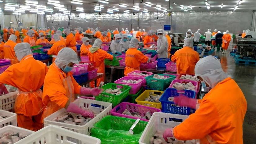 Navico đạt đỉnh l&atilde;i qu&yacute; II kể từ năm 2008