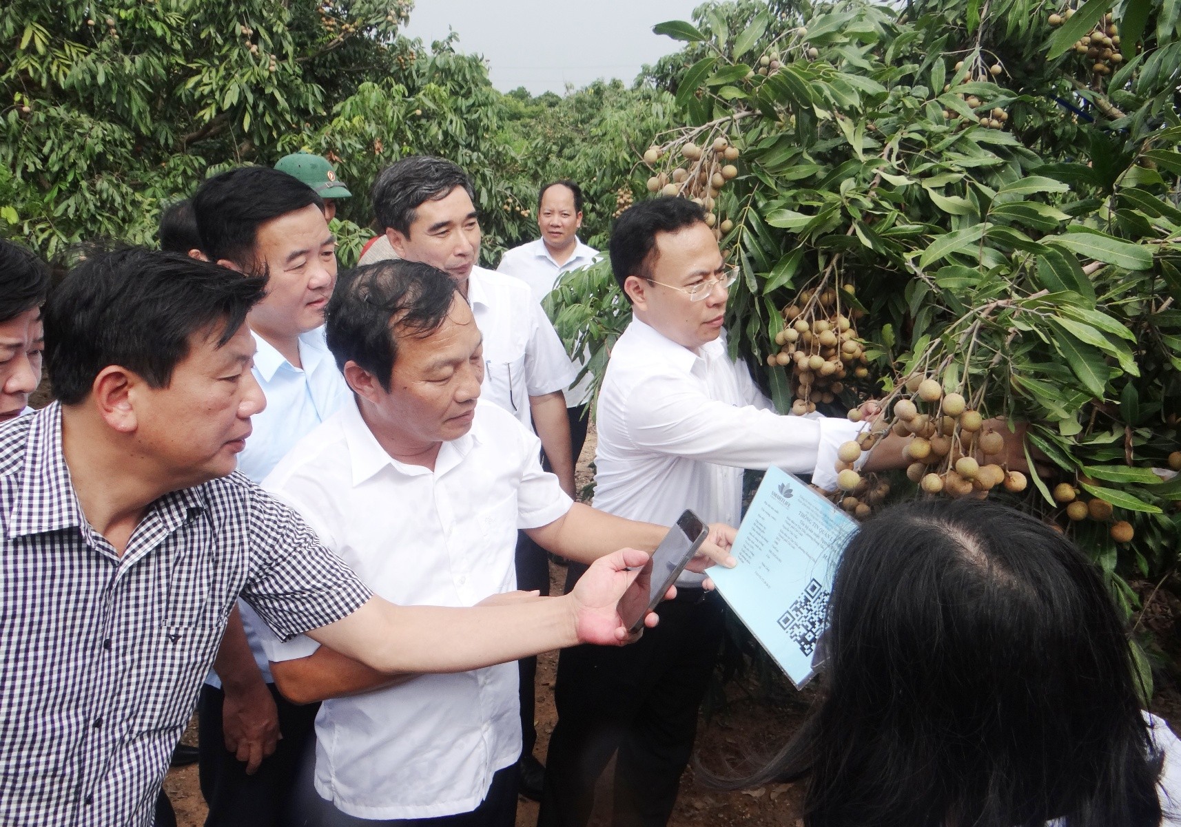 &Ocirc;ng L&ecirc; Văn Hiệu, Ph&oacute; B&iacute; thư Thường trực Tỉnh ủy, Trưởng Đo&agrave;n Đại biểu Quốc hội tỉnh Hải Dương v&agrave; c&aacute;c đại biểu đến thăm vườn nh&atilde;n. Ảnh: Ph&ugrave;ng Nguyện