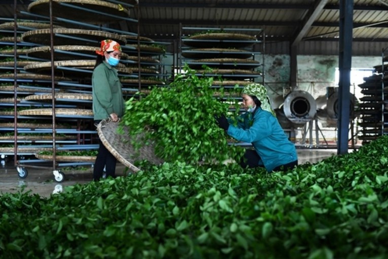 T&iacute;n dụng n&ocirc;ng nghiệp cần h&igrave;nh th&agrave;nh theo chuỗi.