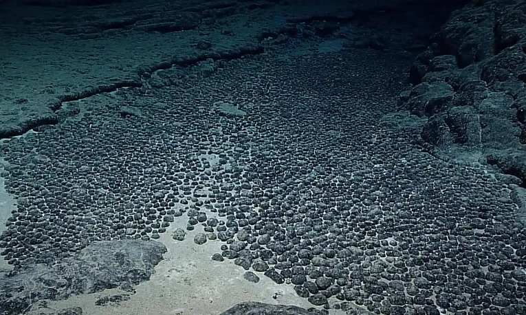 Khu vực đ&aacute;y biển chứa quặng mangan tại v&ugrave;ng nước s&acirc;u cạnh Hawaii. Ảnh: Văn ph&ograve;ng Nghi&ecirc;n cứu v&agrave; Thăm d&ograve; Đại dương của OAA