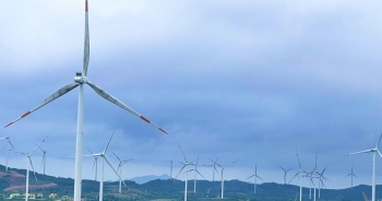Quảng Trị chấp thuận điều chỉnh chủ trương đầu tư Dự án điện gió Tân Hợp