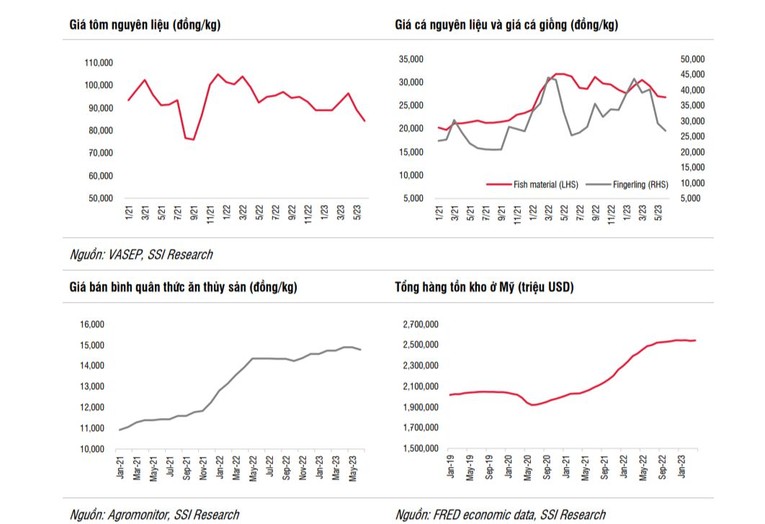 Ảnh: SSI Research