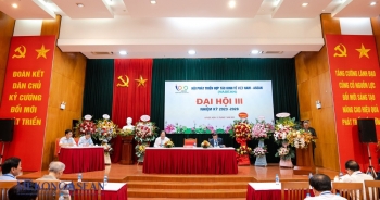 Hội Phát triển hợp tác kinh tế Việt Nam - ASEAN tổ chức Đại hội Khoá III