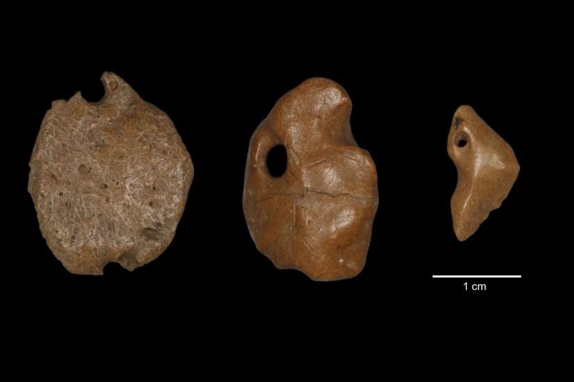 C&aacute;c cổ vật l&agrave;m từ xương con lười được khai quật tại Brazil. Ảnh: Thais Rabito Pansani/AP