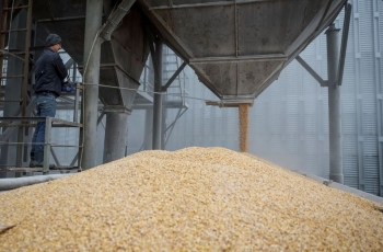 Ba Lan khẳng định không mở cửa cho ngũ cốc Ukraine